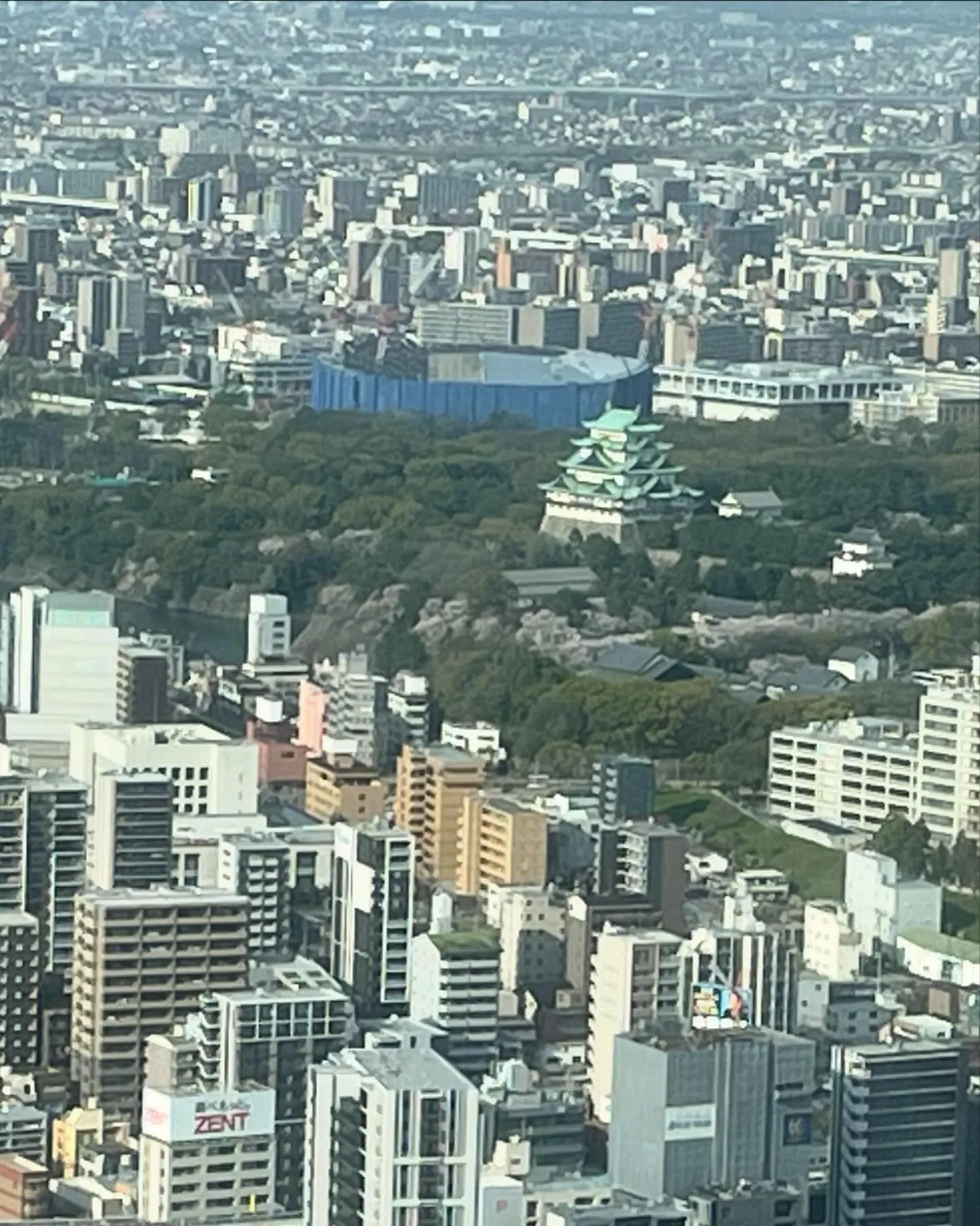 日本の街並みは🏙️これで良いのかなー❓っとか思ってしまう😐。