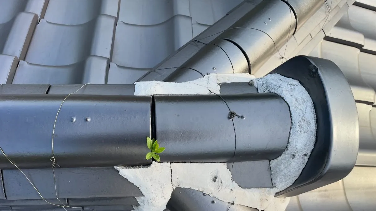 芽が出たぁ🌱っと喜ぶのは🙌畑の種と若い才能かな😀。