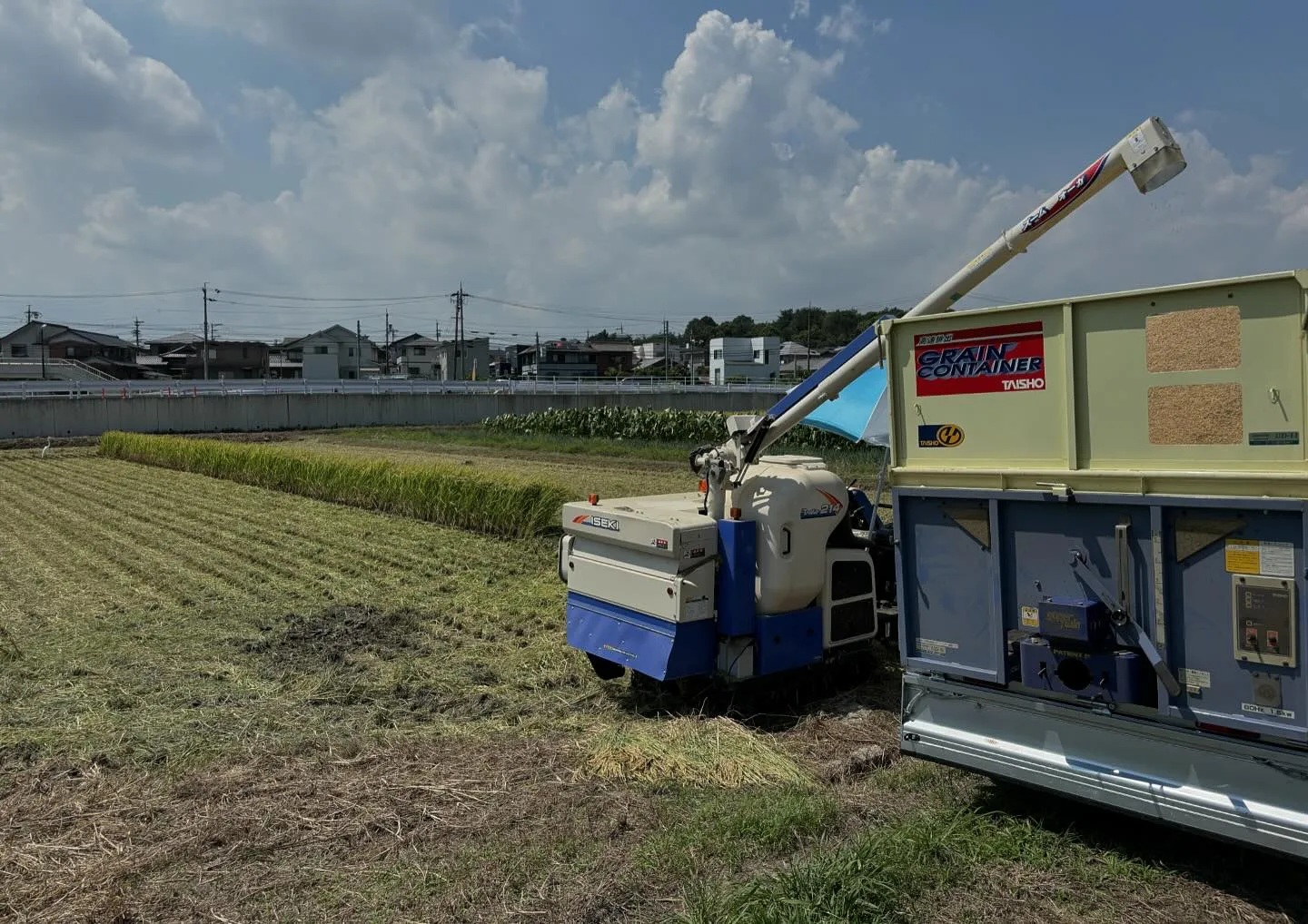 【瓦屋のぼやきごと】今日は稲刈り🌾。