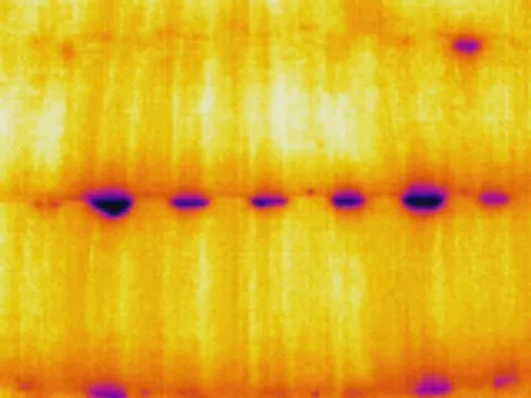 セメント瓦の重なり目に「コケ」が😨。