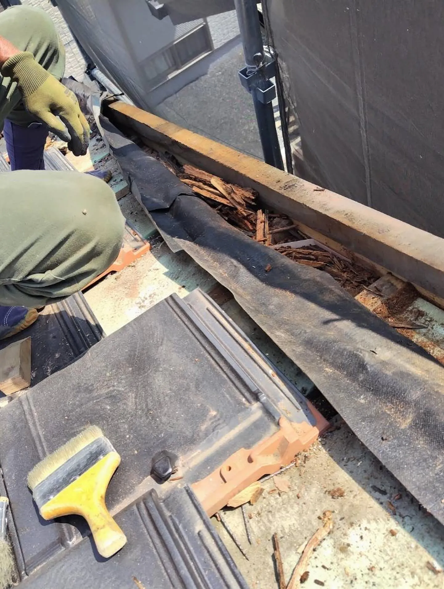 1枚目の写真はアウト🙅なやつ。