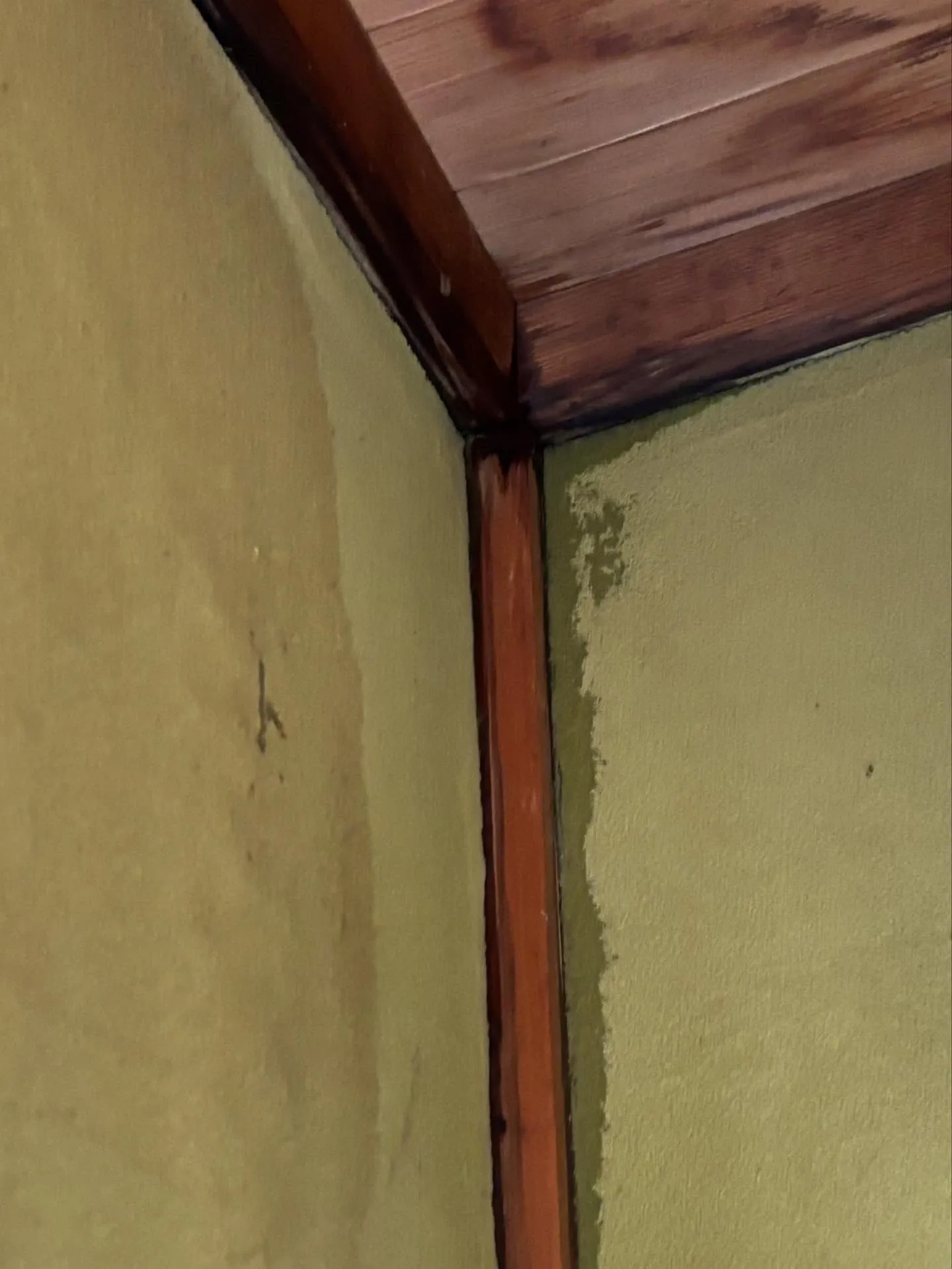 ウチにしては珍しい散水雨漏り調査🔍。