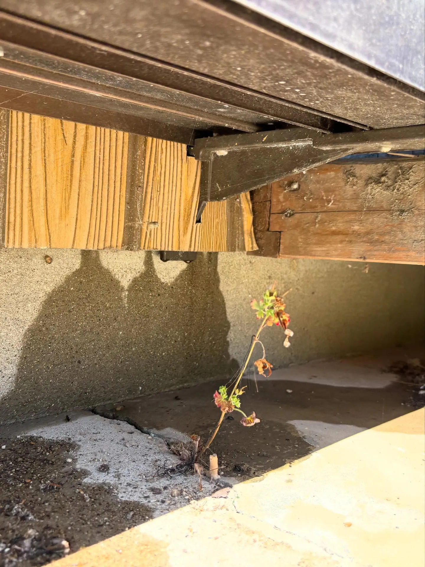 ウチにしては珍しい散水雨漏り調査🔍。