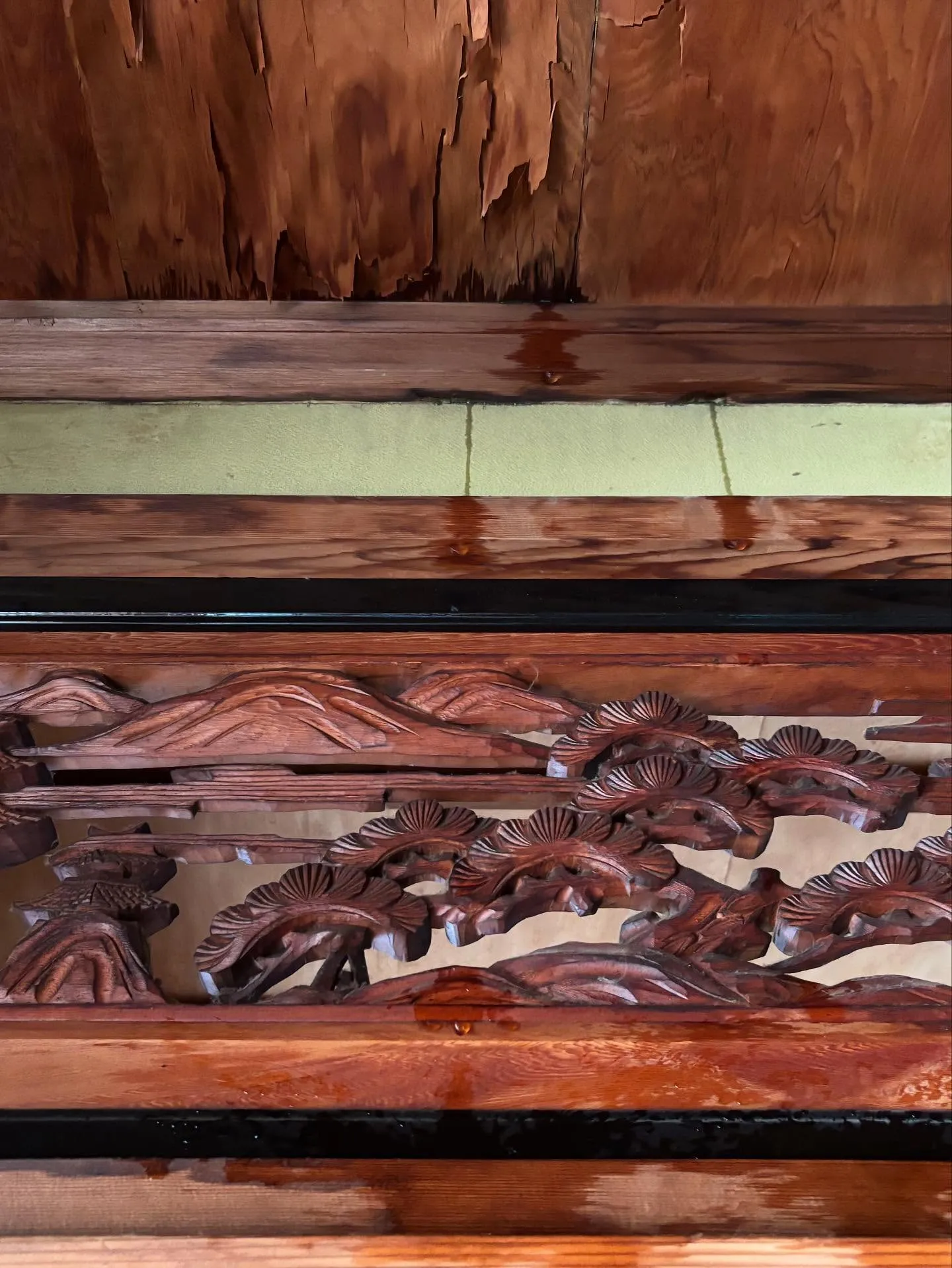 ウチにしては珍しい散水雨漏り調査🔍。