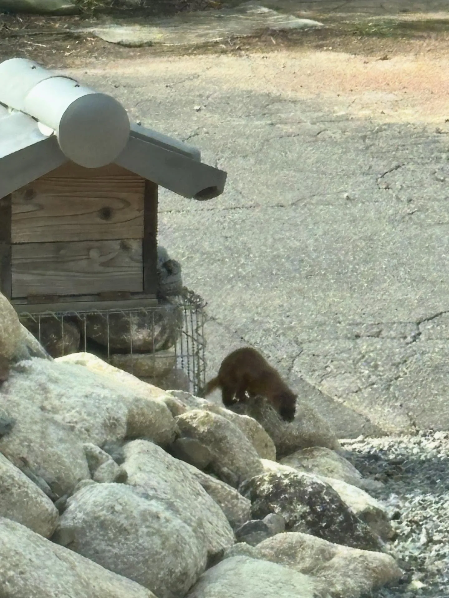 なにもの⁉️我家へ侵入未遂😲。
