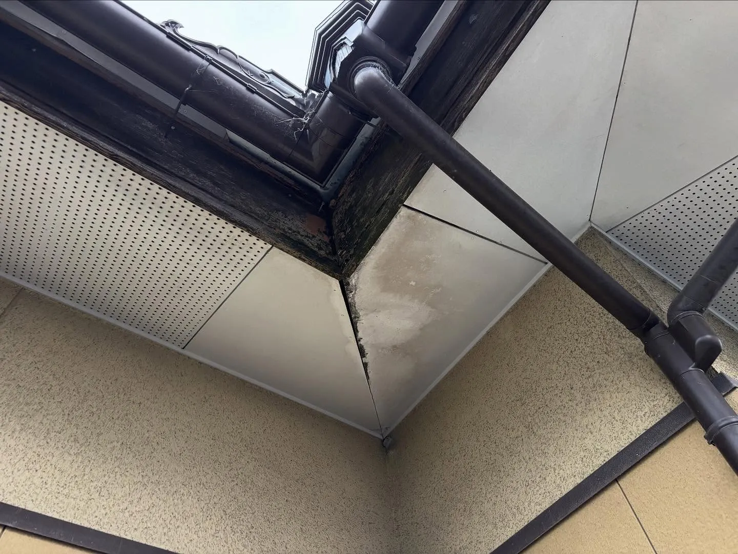 サインを見逃しちゃいけません👀。