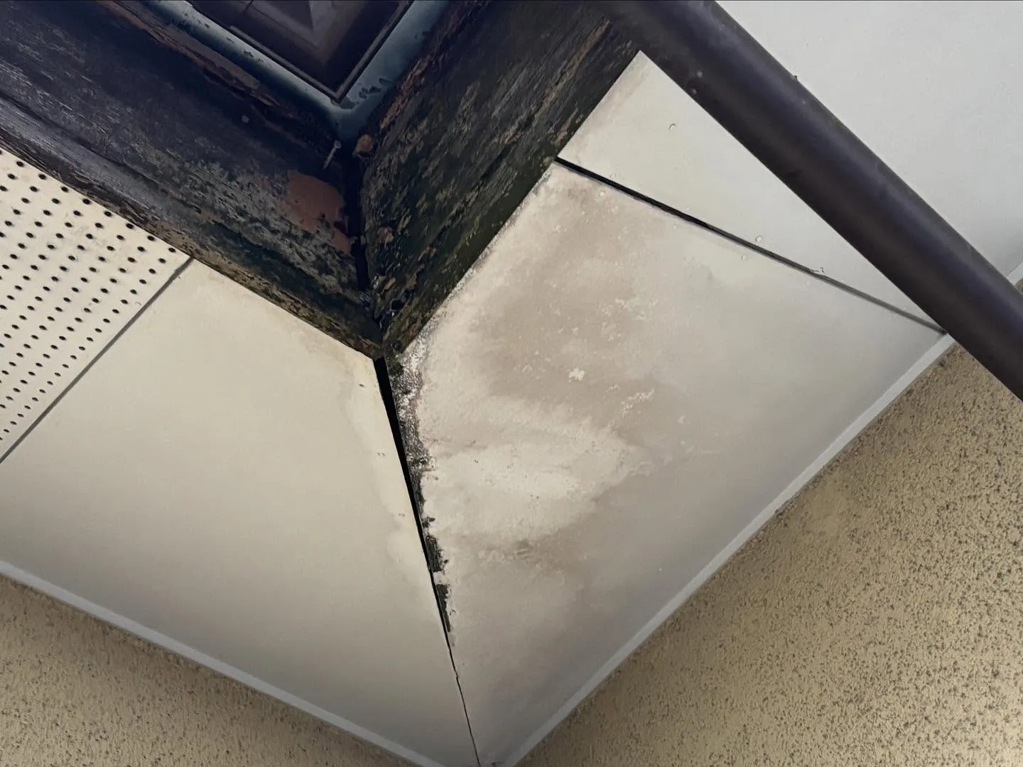 サインを見逃しちゃいけません👀。