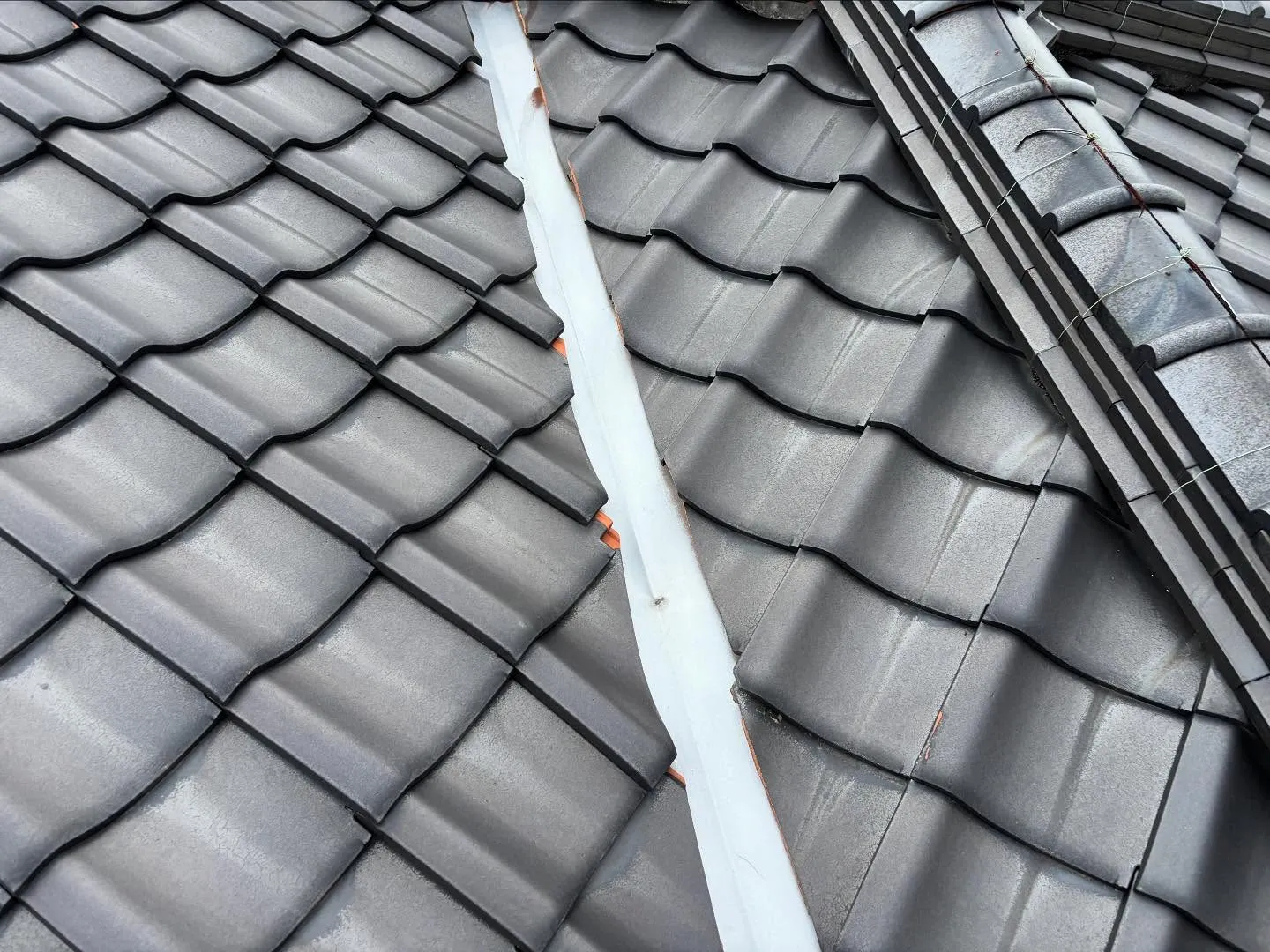 サインを見逃しちゃいけません👀。