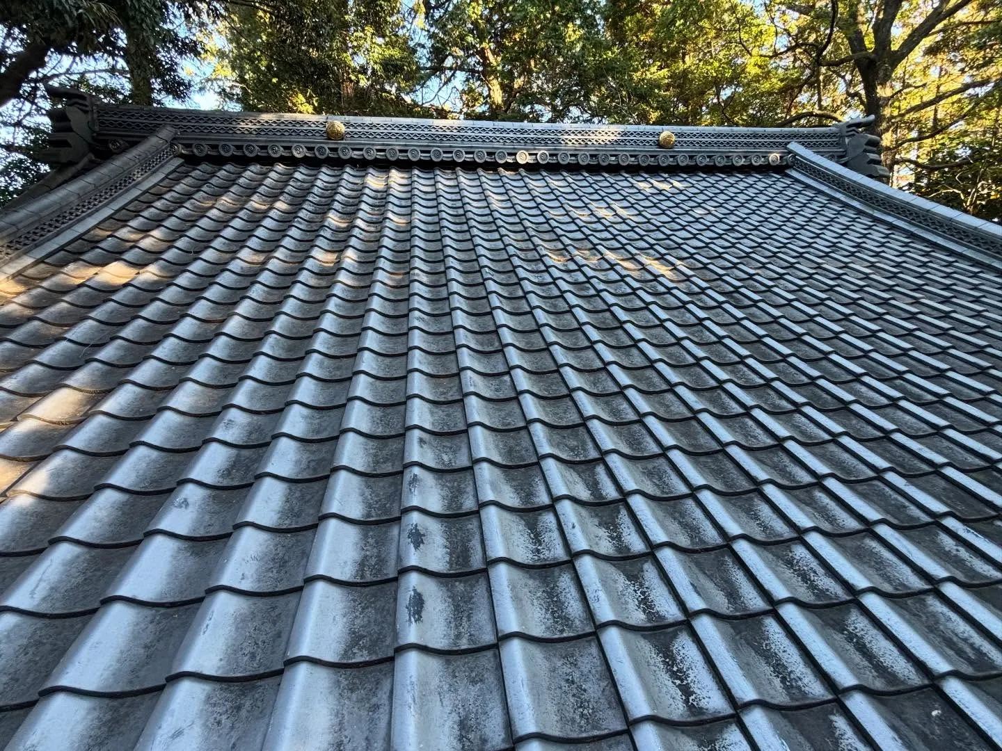 ビフォー🍂アフター🧹アフターケア🔍