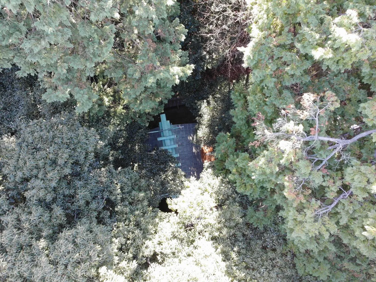 住んでるのは神様だから⛩️雨漏りしてても電話はもらえないので...