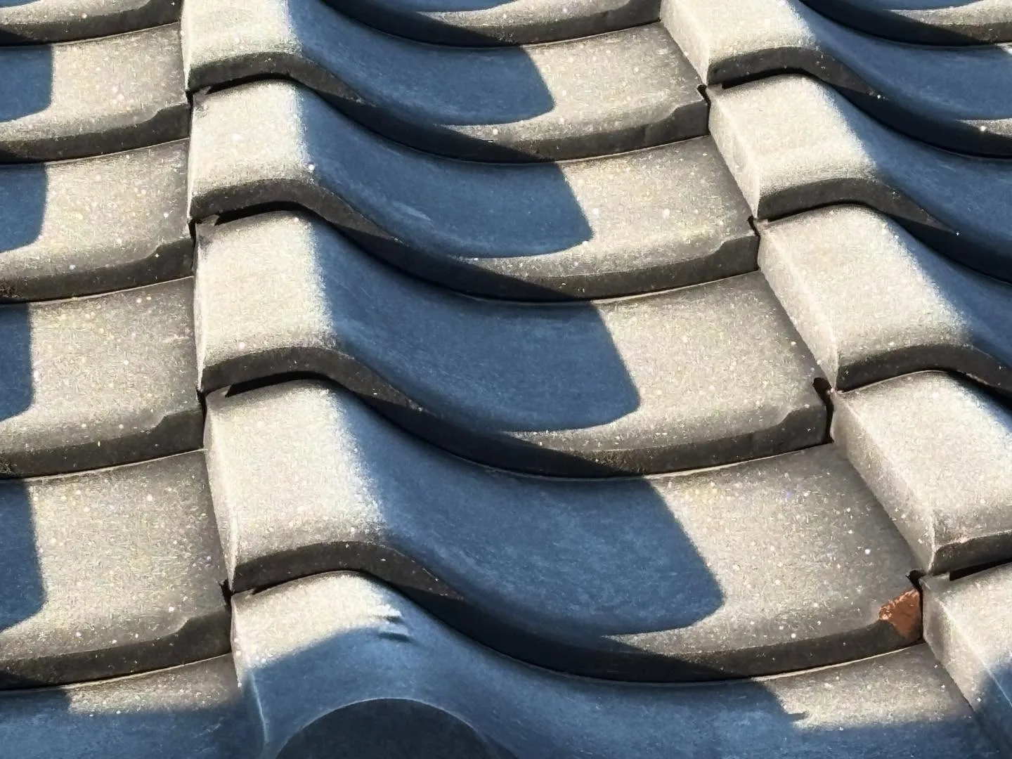 寒い朝の屋根の様子🥶