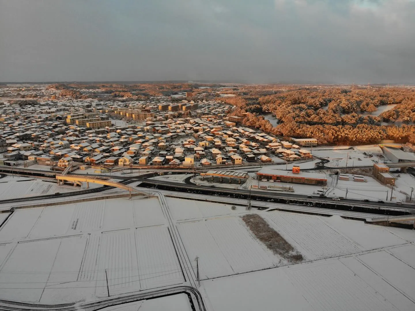一面の銀世界☃️一晩でこんなに色が変わるものか❄️。