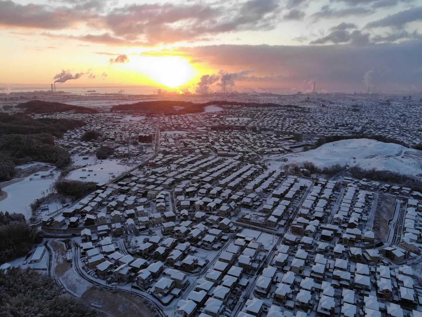 一面の銀世界☃️一晩でこんなに色が変わるものか❄️。