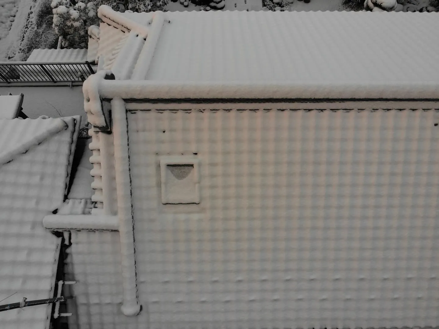 天窓に積もった雪は🪟明らかに溶けが早い🫠。